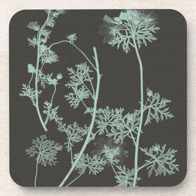 Mint & Charcoal Nature Study IV Coaster (Front)