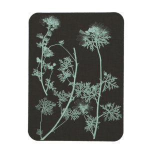 Mint & Charcoal Nature Study IV Magnet
