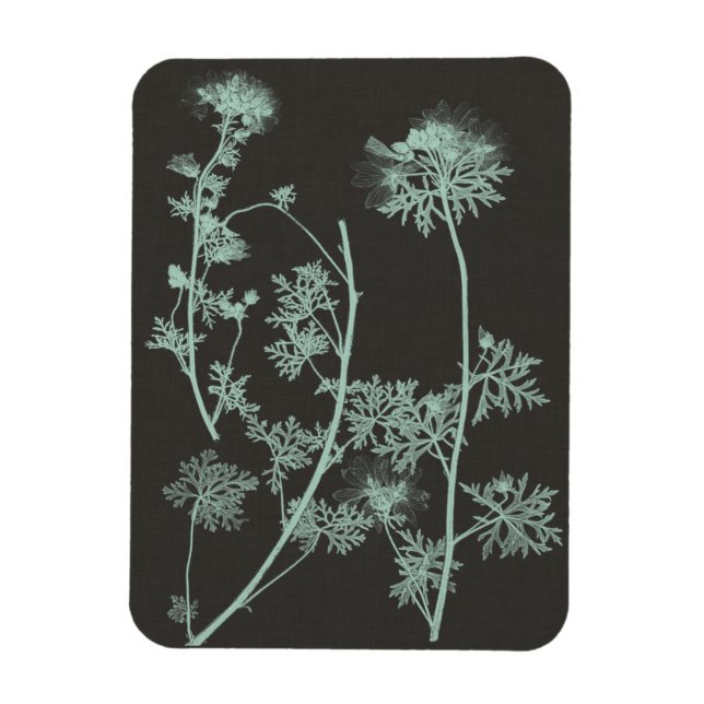 Mint & Charcoal Nature Study IV Magnet (Vertical)