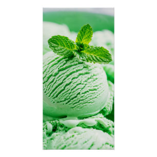 Mint Chocolate Chip Ice Cream Poster