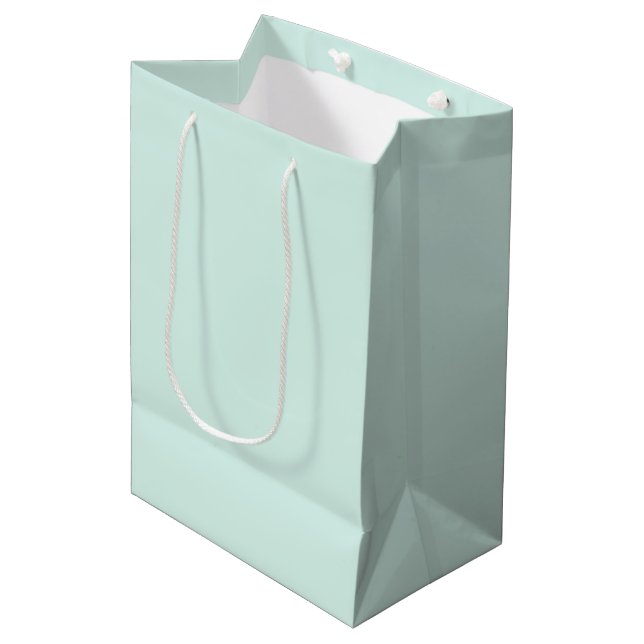 Mint Cloud Medium Gift Bag (Front Angled)