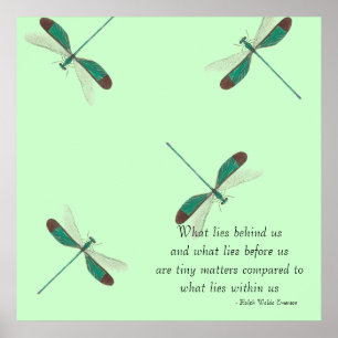 Mint Dragonflies What Lies Behind Us Poster