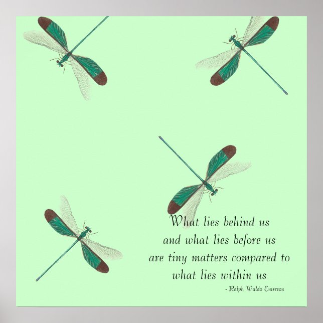 Mint Dragonflies What Lies Behind Us Poster (Front)