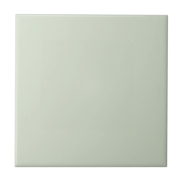 Mint Green Color Tile (Front)