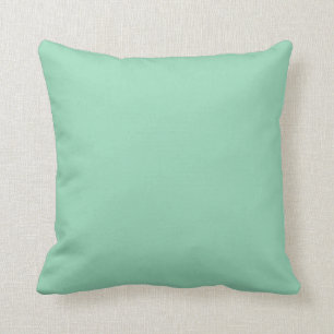 “Mint Green” Cushion