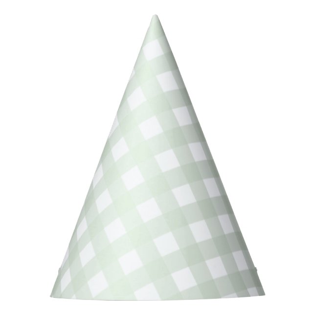 Mint Green Gingham Party Hat (Front)