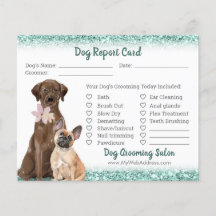 Mint Green Glitter Dog Grooming Report Card Flyer