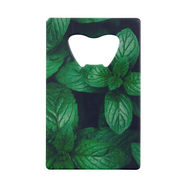 Mint green leaves pattern background (Front)
