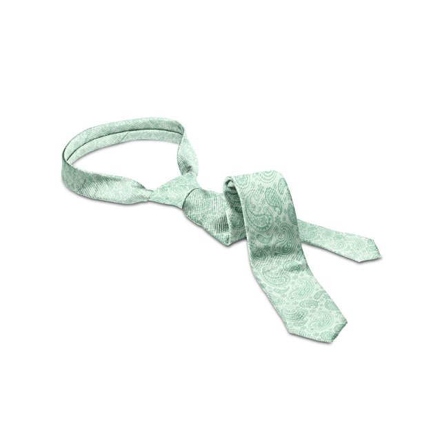 Mint-Green Tones Vintage Paisley Pattern Tie (Creator Uploaded)