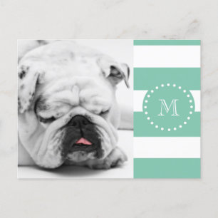 Mint Green White Stripes Pattern, Your Monogram Postcard