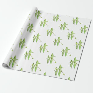 Mint herb botanical plants green garden wrapping paper