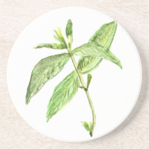 Mint herb coaster