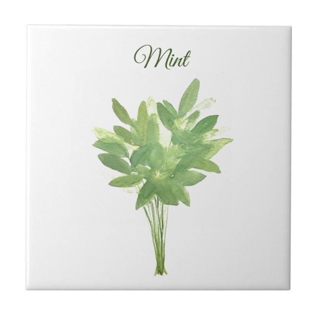 Mint Herb Greenery Kitchen Culinary Green Chic  Tile (Front)