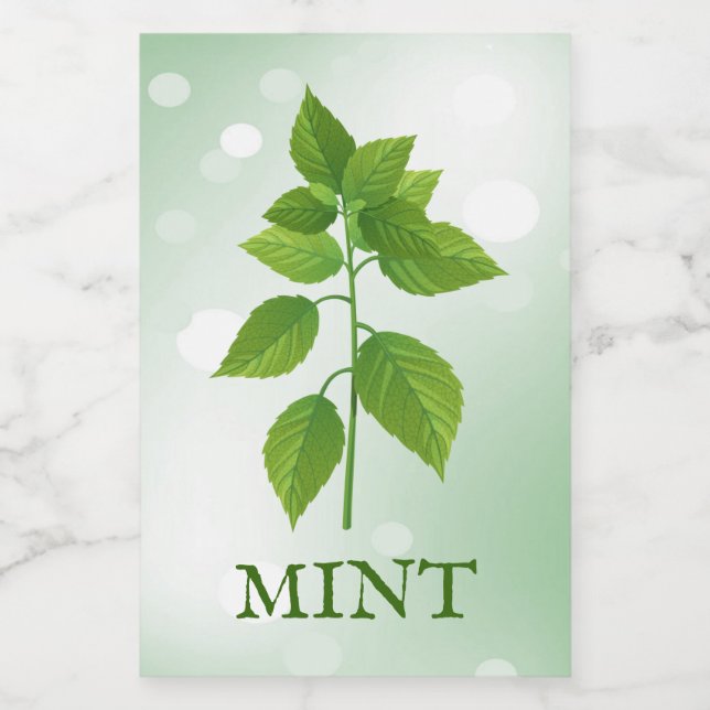 Mint Herbs Label (Single Label)