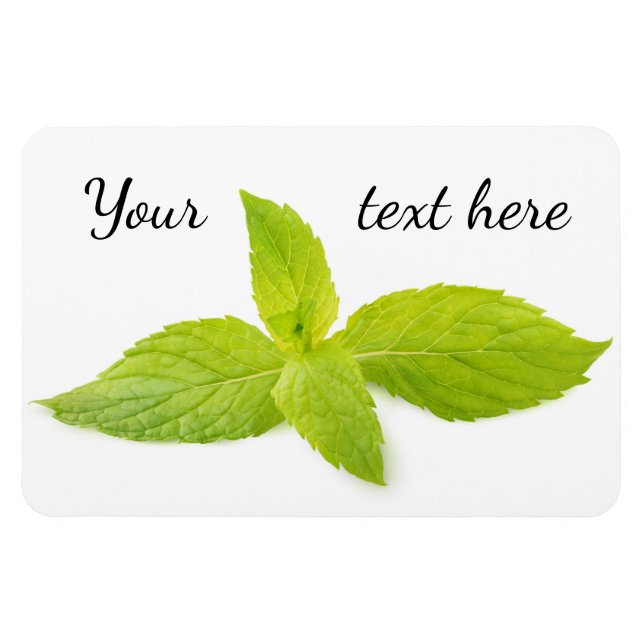 Mint leaves magnet (Horizontal)