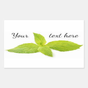 Mint leaves rectangular sticker