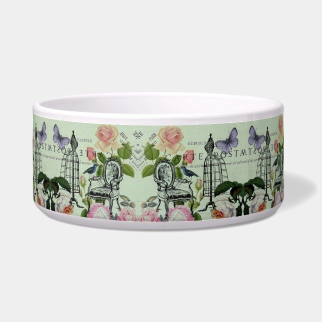 mint modern vintage french rose  butterfly paris (Front)