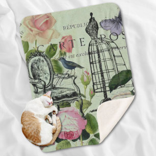 mint modern vintage french rose  butterfly paris sherpa blanket