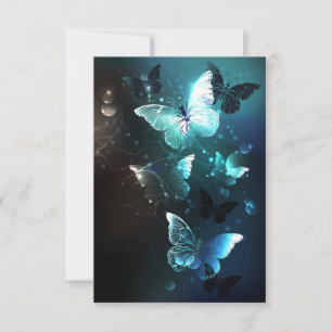 Mint Night Butterflies Announcement