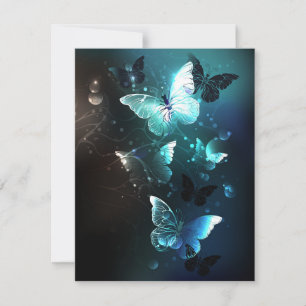 Mint Night Butterflies Card