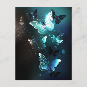 Mint Night Butterflies Enclosure Card