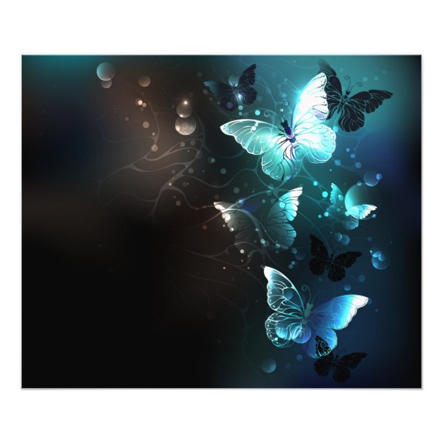Mint Night Butterflies Photo Print (Front)