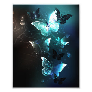Mint Night Butterflies Photo Print