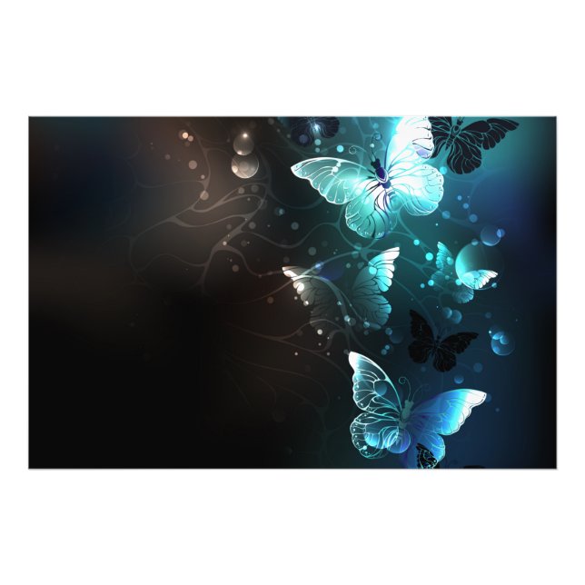 Mint Night Butterflies Photo Print (Front)
