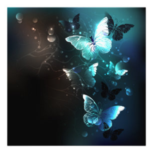 Mint Night Butterflies Photo Print