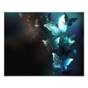 Mint Night Butterflies Photo Print