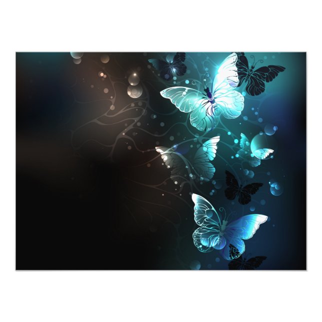 Mint Night Butterflies Photo Print (Front)