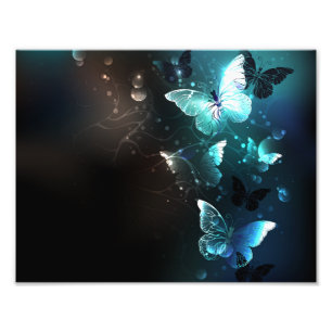 Mint Night Butterflies Photo Print