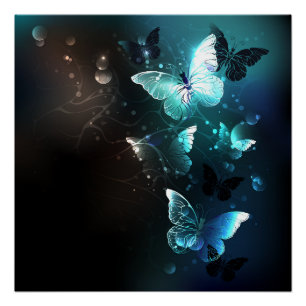 Mint Night Butterflies Poster