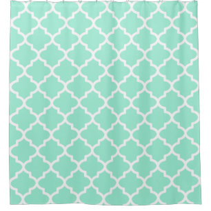  Mint Shower Curtain