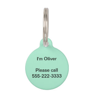 Mint Solid Colour Pet Tag