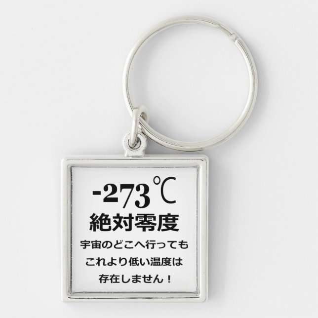 Minus 273 key ring (Front)