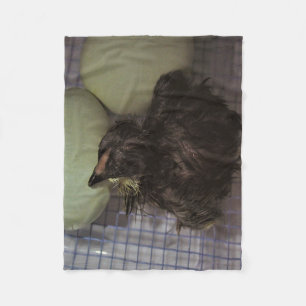 Minutes Old Fleece Blanket
