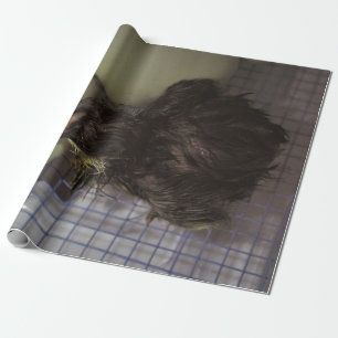 Minutes Old Wrapping Paper