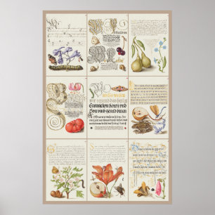 Mira Calligraphiae Monumenta 005 Poster