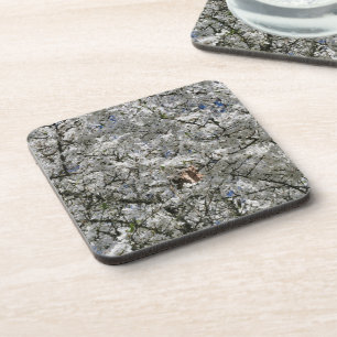 Mirabelle Blossom Cork Coasters