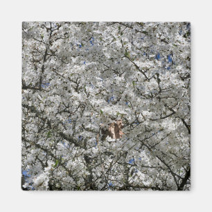 Mirabelle Blossom Fridge Magnet