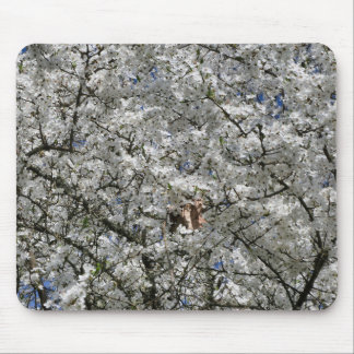Mirabelle Blossom Mouse Mat