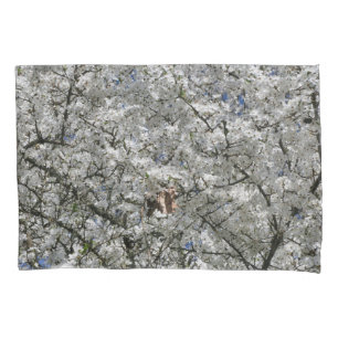 Mirabelle Blossom Pillow Case
