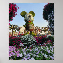 Miracle Garden, Dubai UAE