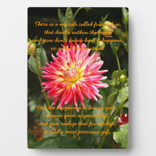 Miracle of Friendship Plaque