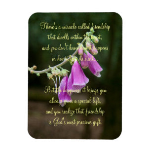 Miracle Of Friendship Poem Magnet