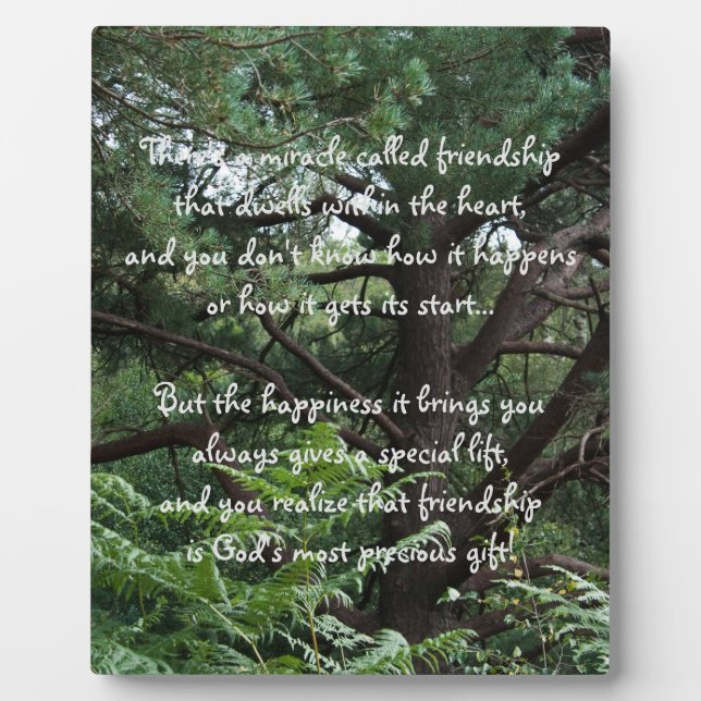 Miracle of friendship Poem Plaque (Front)