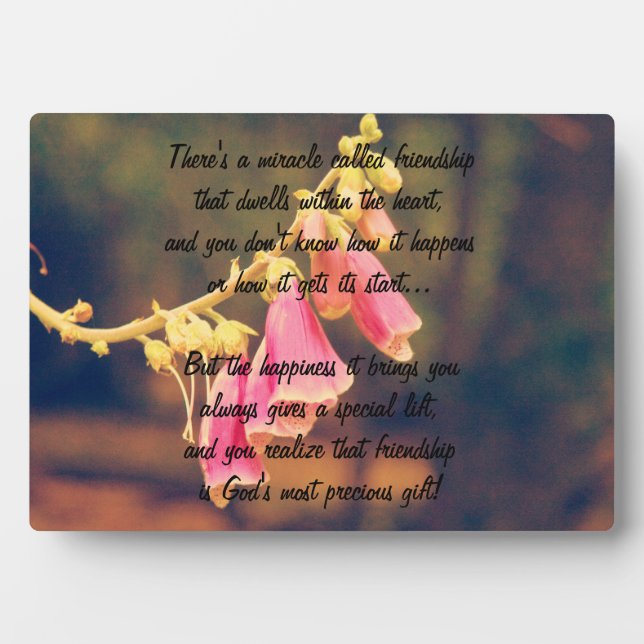 Miracle of friendship Poem Plaque (Front)