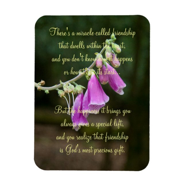Miracle Of Friendship Poem Plaque Magnet (Vertical)