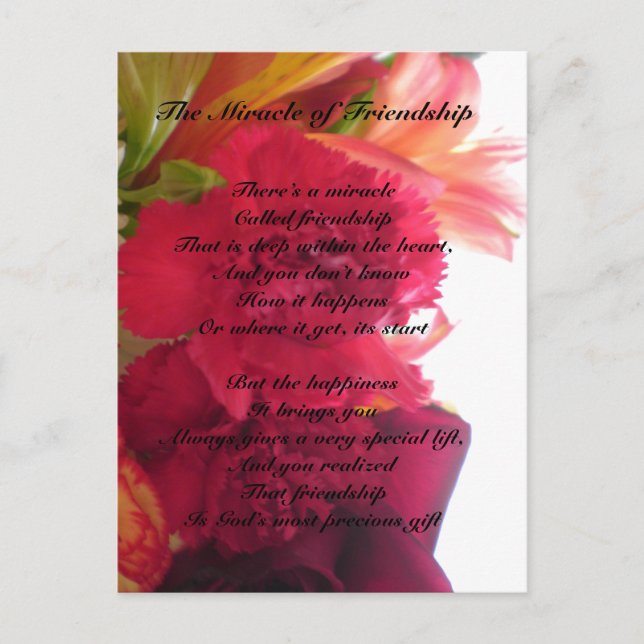 Miracle of Friendship postcard (Front)